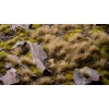 Gamers Grass Autumn – 5 mm (Wild) | Jesienne kępki trawy do dioram